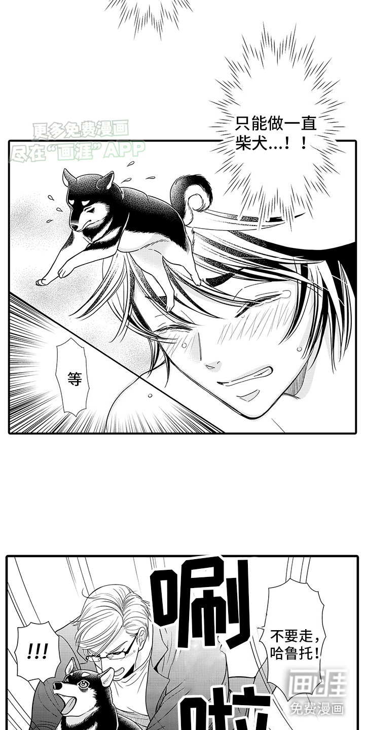 毛茸茸的偏爱 第13话 第5页