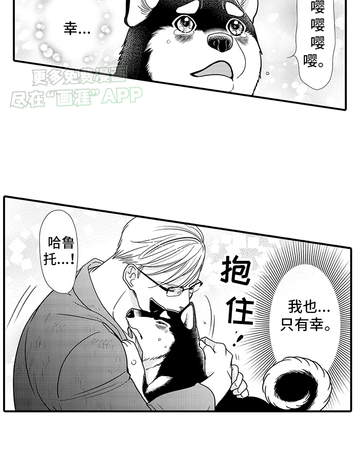 毛茸茸的偏爱 第13话 第8页