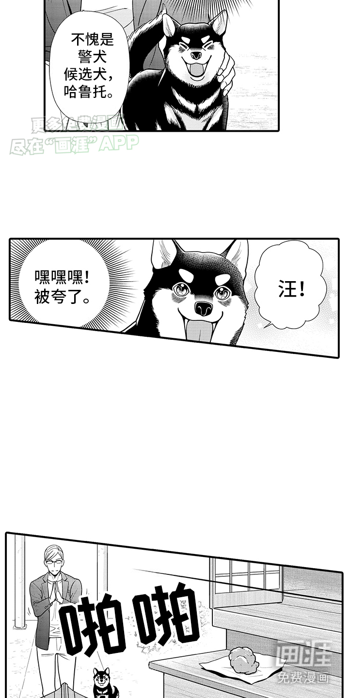 毛茸茸的偏爱 第14话 第7页