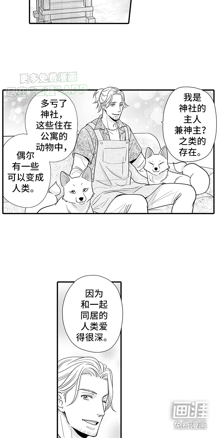 毛茸茸的偏爱 第15话 第5页