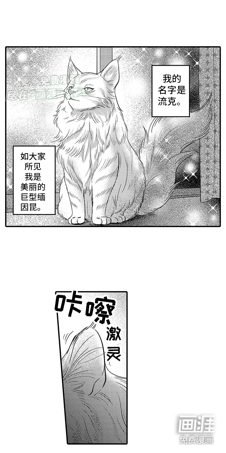 毛茸茸的偏爱 第16话 第1页