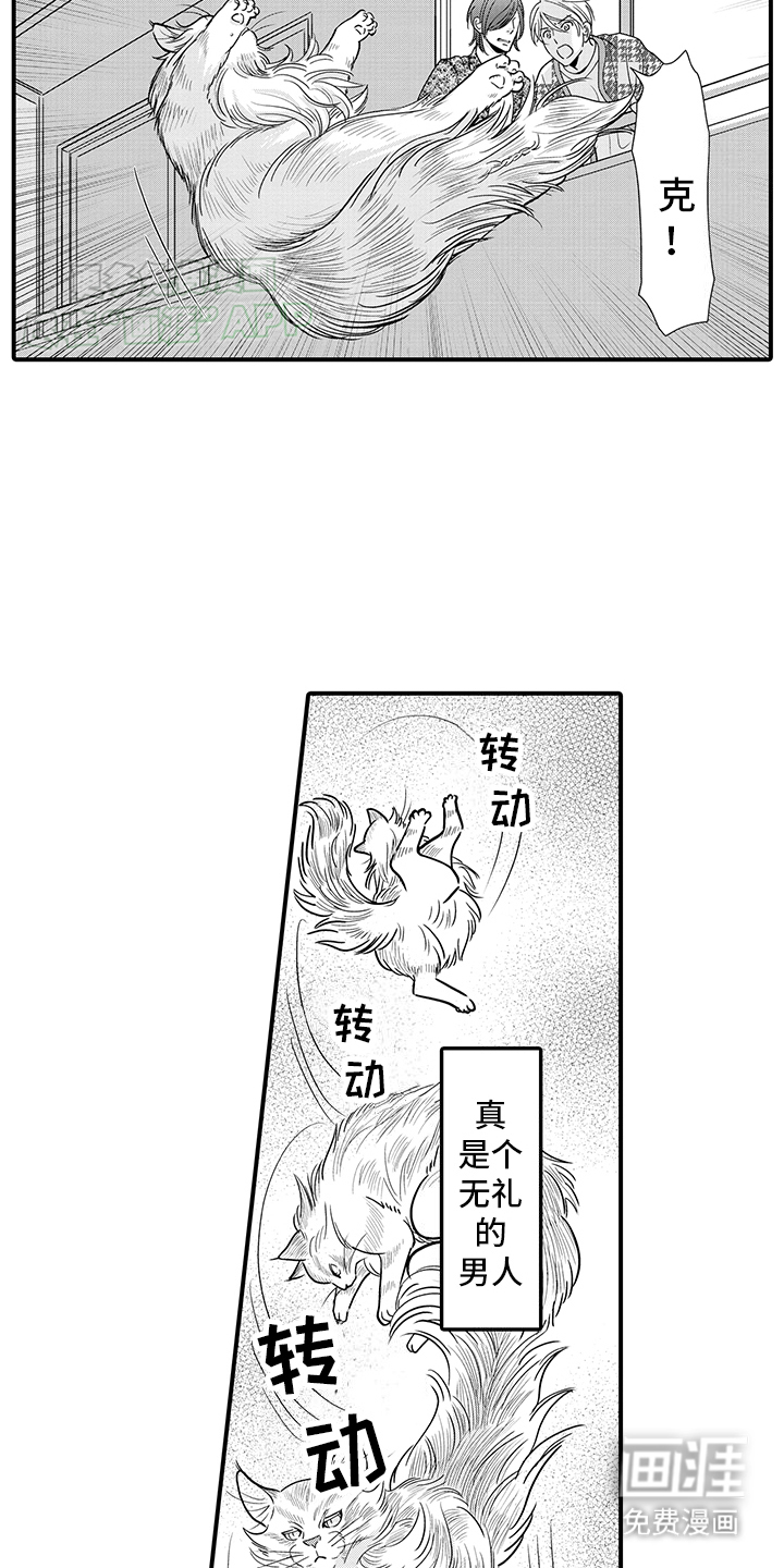 毛茸茸的偏爱 第16话 第11页