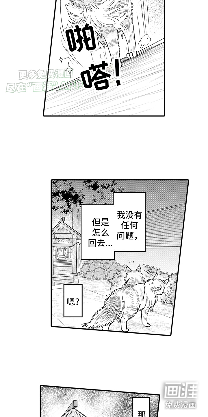 毛茸茸的偏爱 第16话 第12页