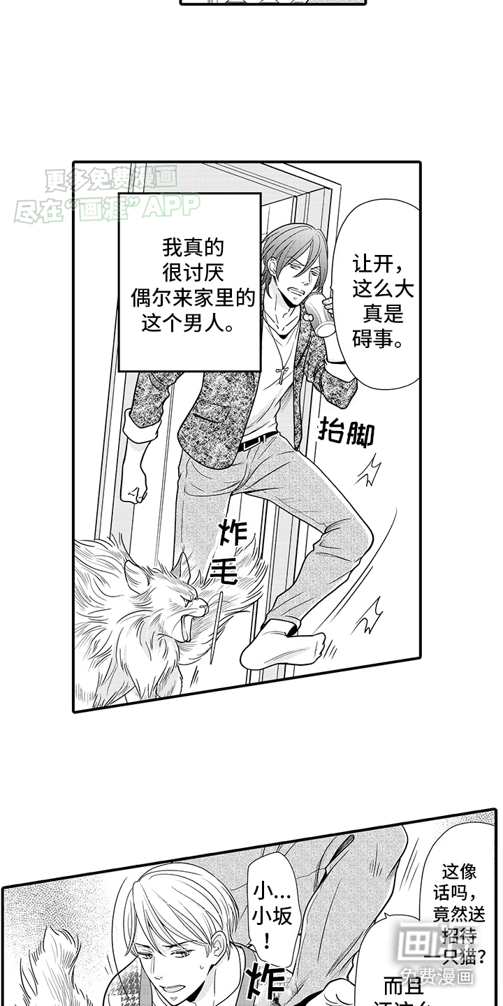 毛茸茸的偏爱 第16话 第7页