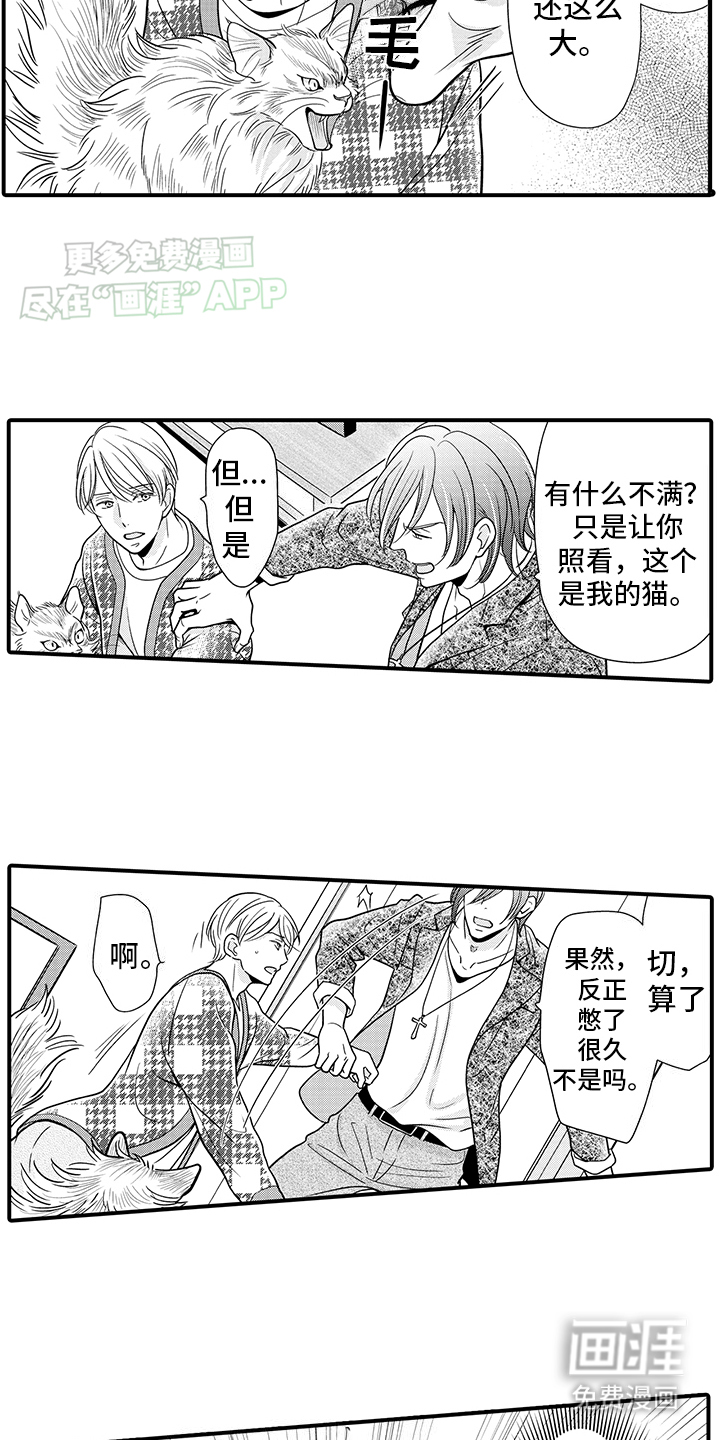 毛茸茸的偏爱 第16话 第8页