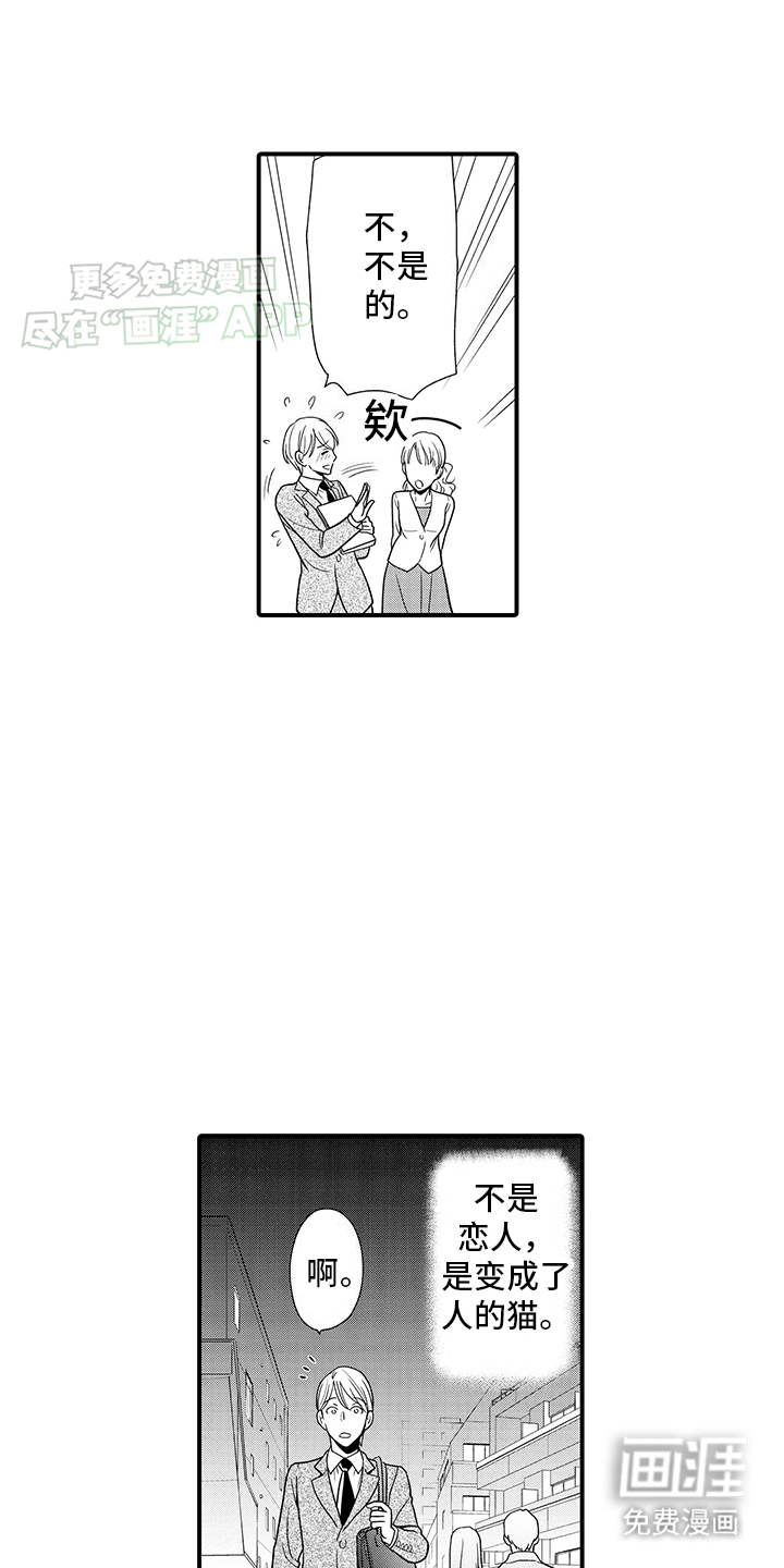毛茸茸的偏爱 第17话 第13页