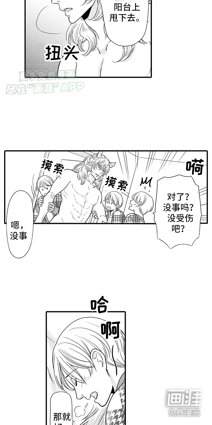 毛茸茸的偏爱 第17话 第9页