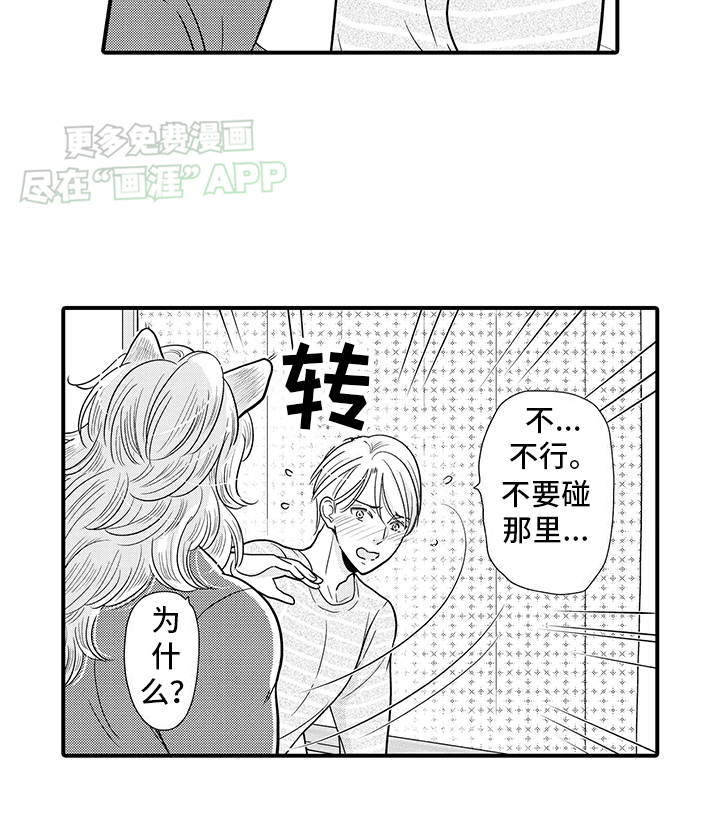 毛茸茸的偏爱 第18话 第13页