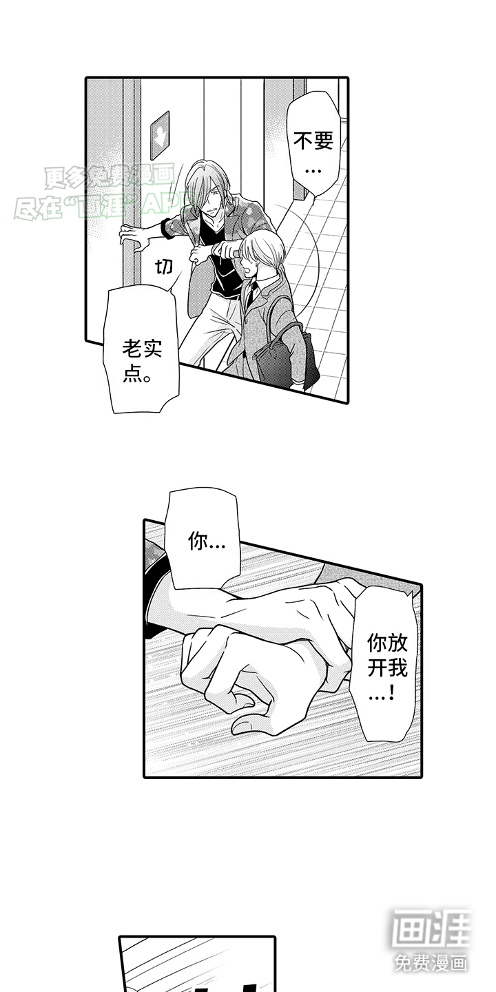 毛茸茸的偏爱 第19话 第12页