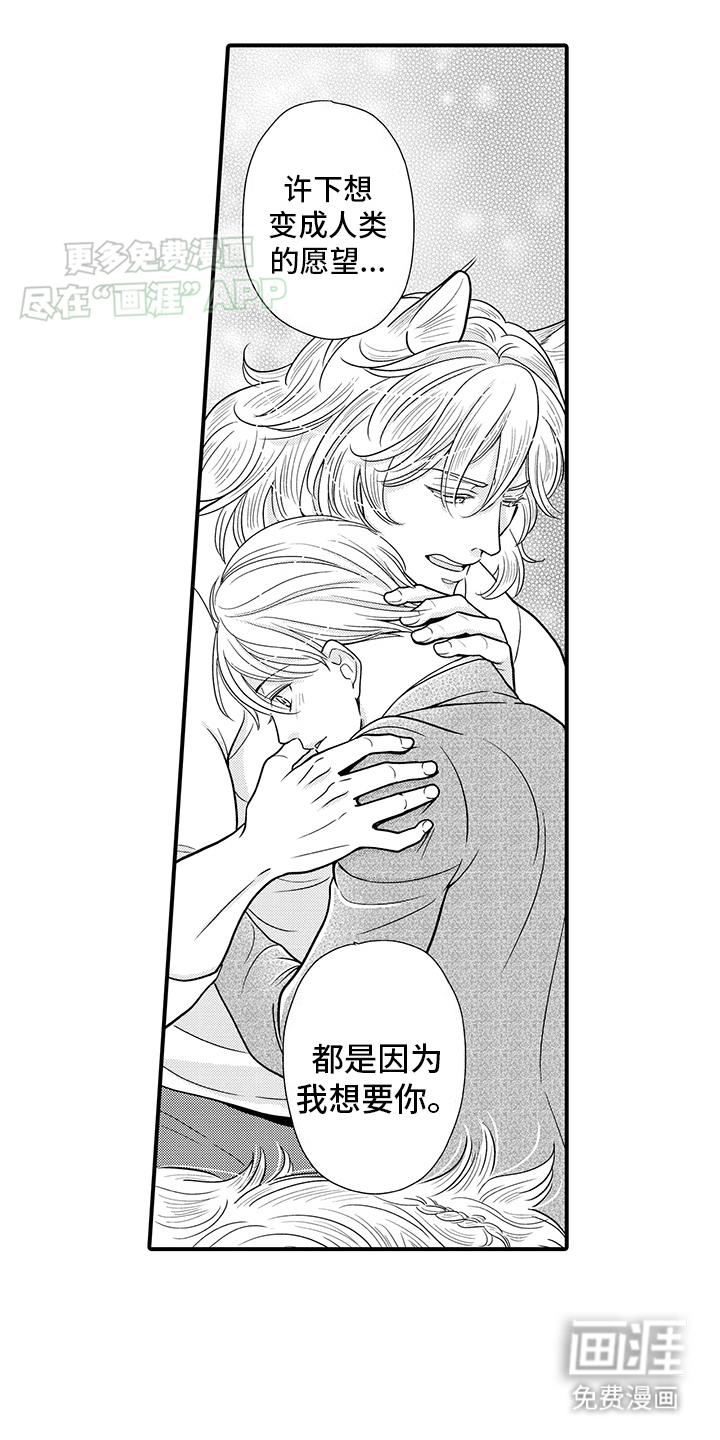毛茸茸的偏爱 第20话 第6页
