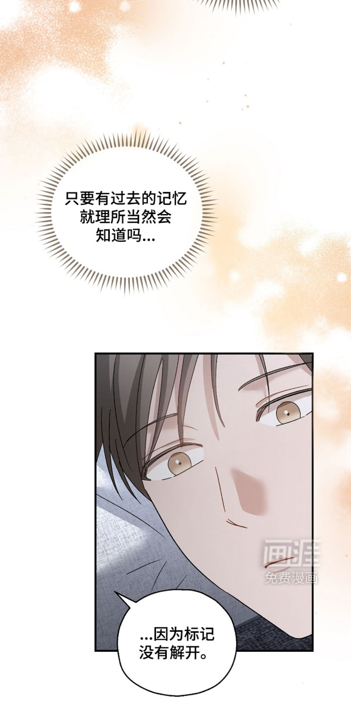 记忆的尽头 第213话 第30页