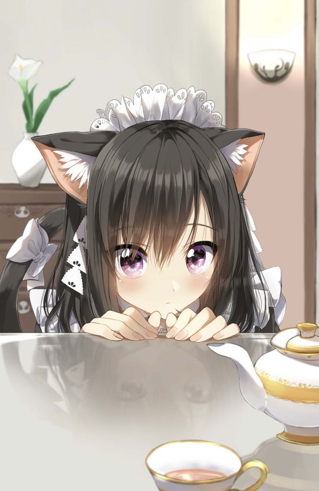 猫咪女仆小姐 第1话 第9页