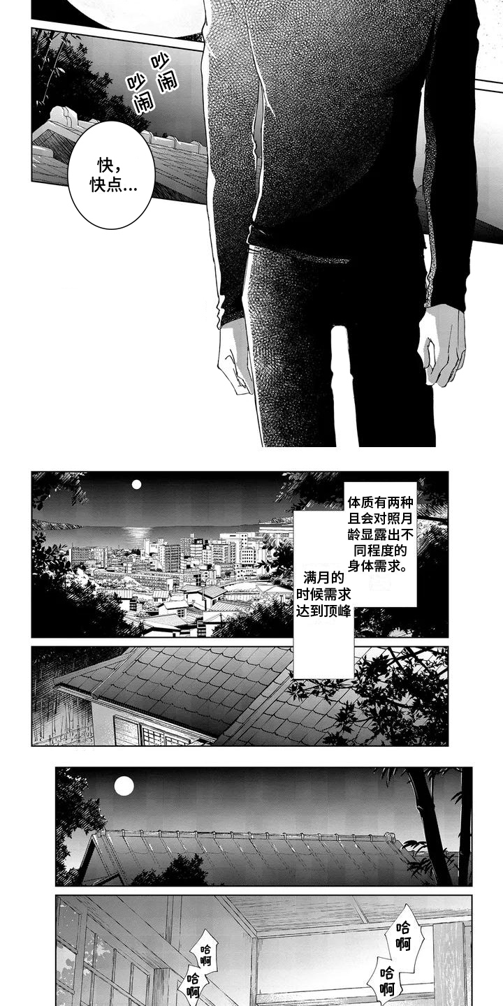 爱在月亮下 第16话 第2页