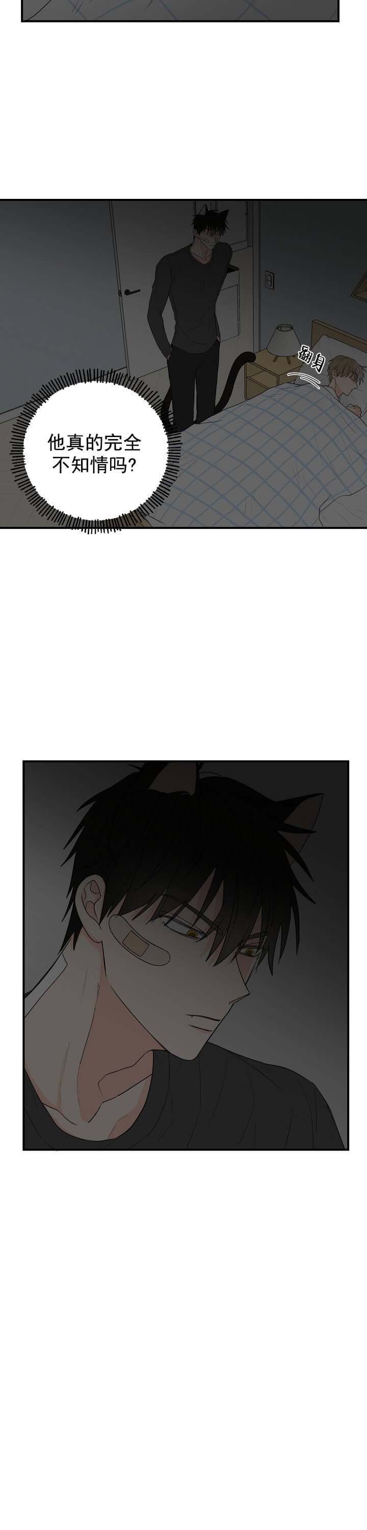 幸运从猫猫开始 第3话 第9页