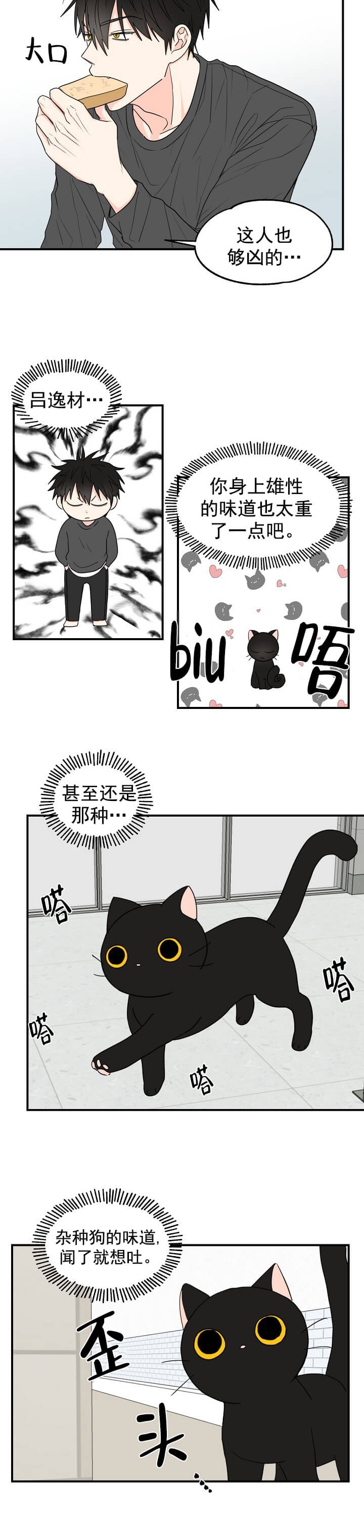 幸运从猫猫开始 第4话 第2页