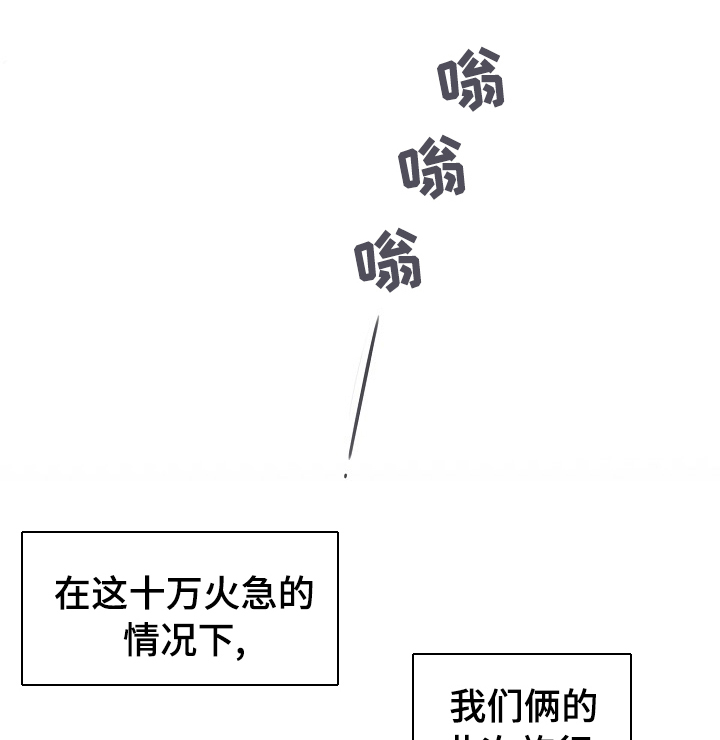危险的男人 第41章：条件 第1页