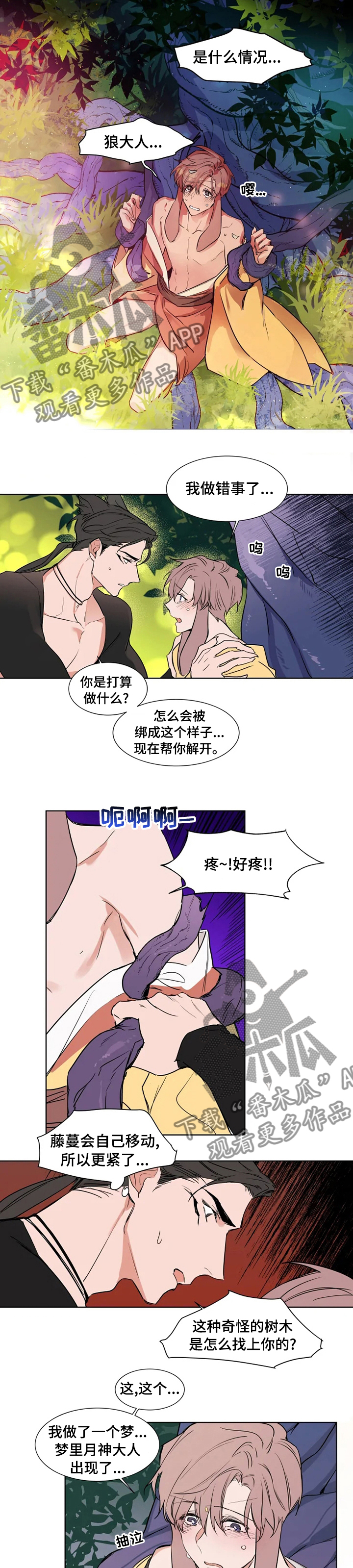植物效应 第74章：【特别版】做错事了 第5页
