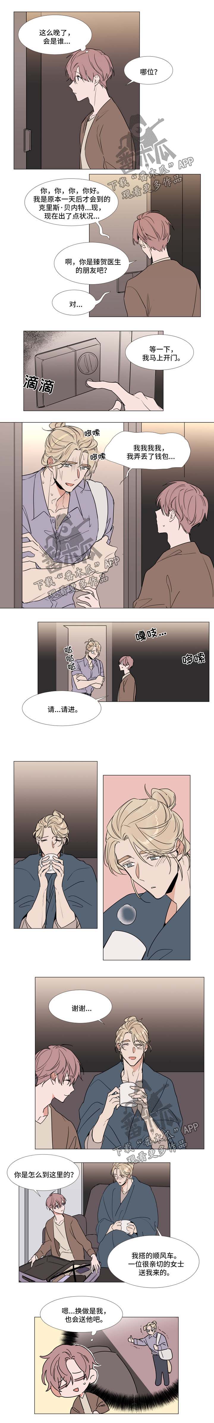 植物效应 第63章：来客 第3页