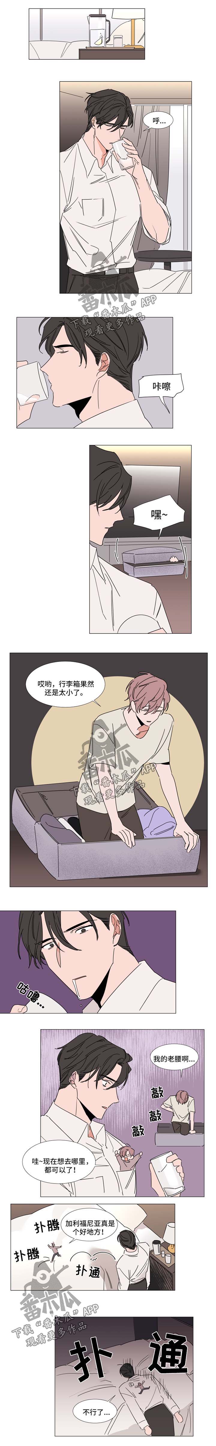 植物效应 第61章：我错了 第1页