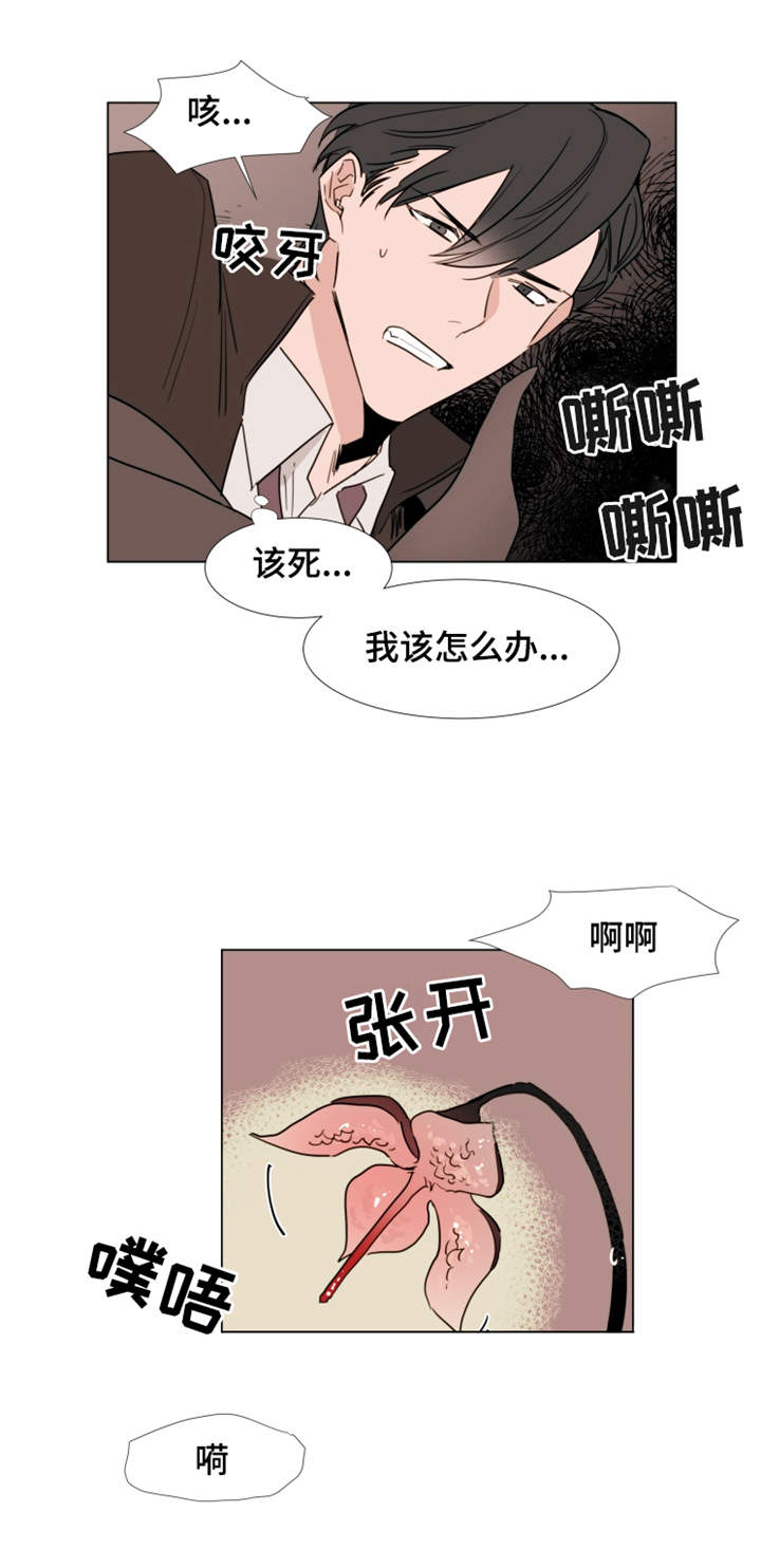 植物效应 第23章：取出 第2页