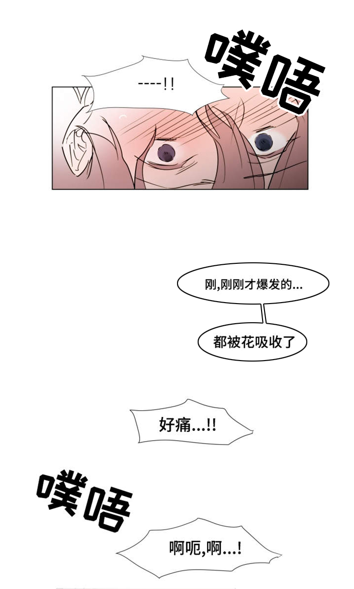 植物效应 第23章：取出 第3页