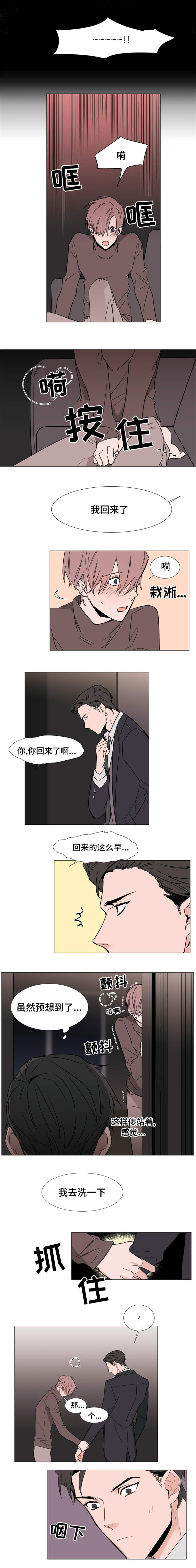 植物效应 第15章：周期 第3页