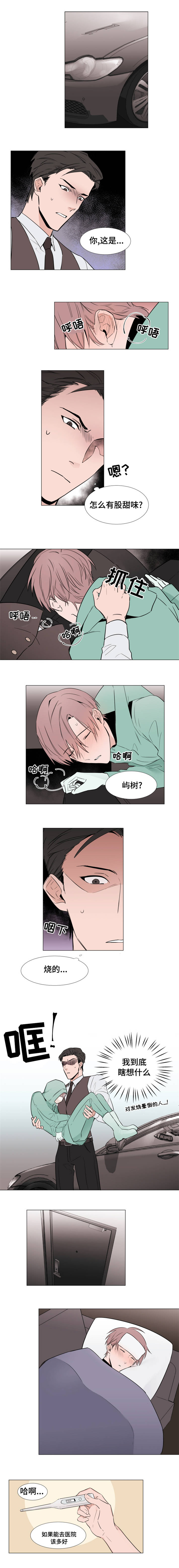 植物效应 第8章：什么情况 第1页