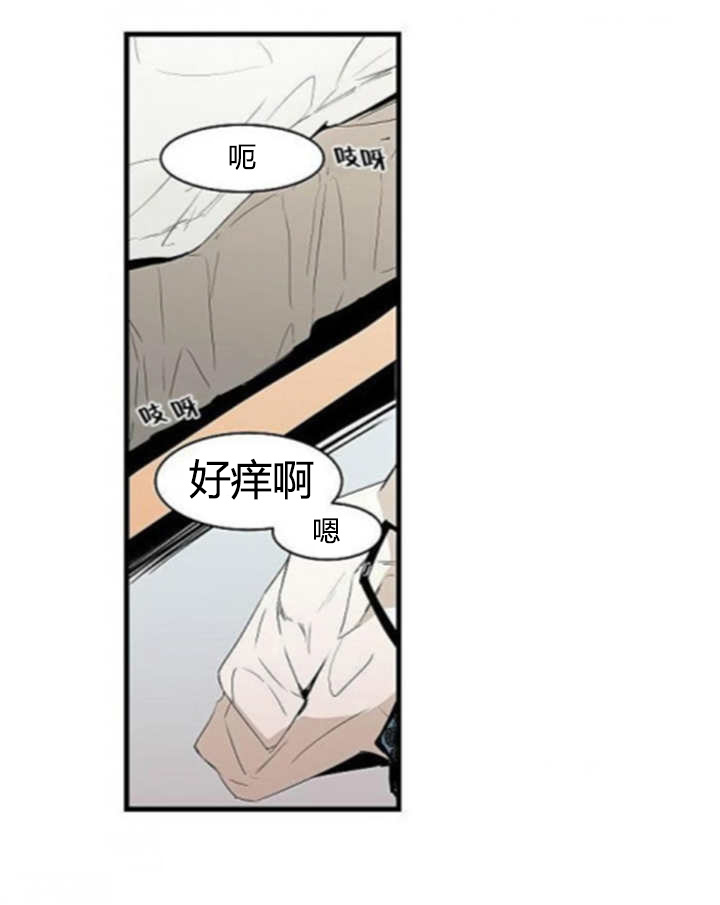 盛装之下 第17章：互相传染 第4页