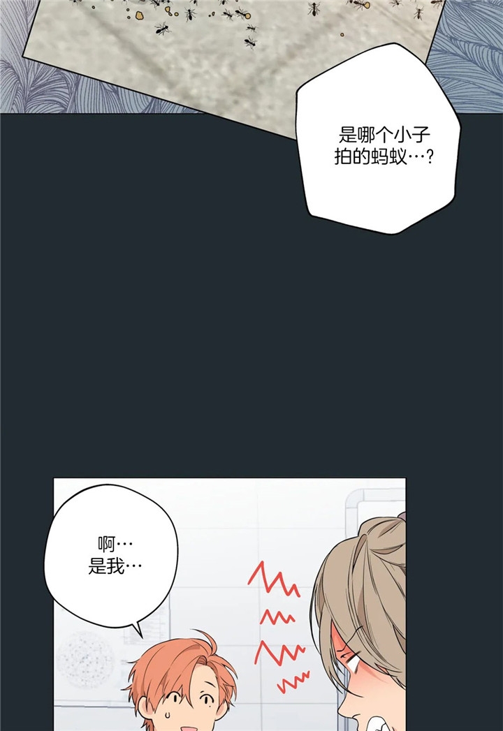 奇妙像素 第26话 第14页