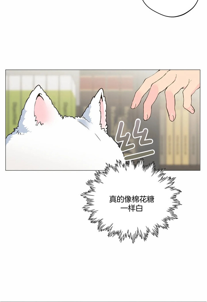 奇妙像素 第23话 第3页