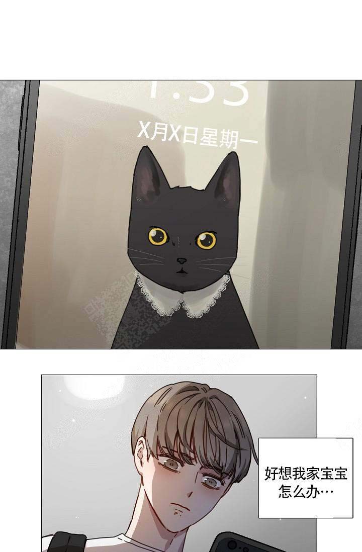 自炊料理王 第3话 第13页