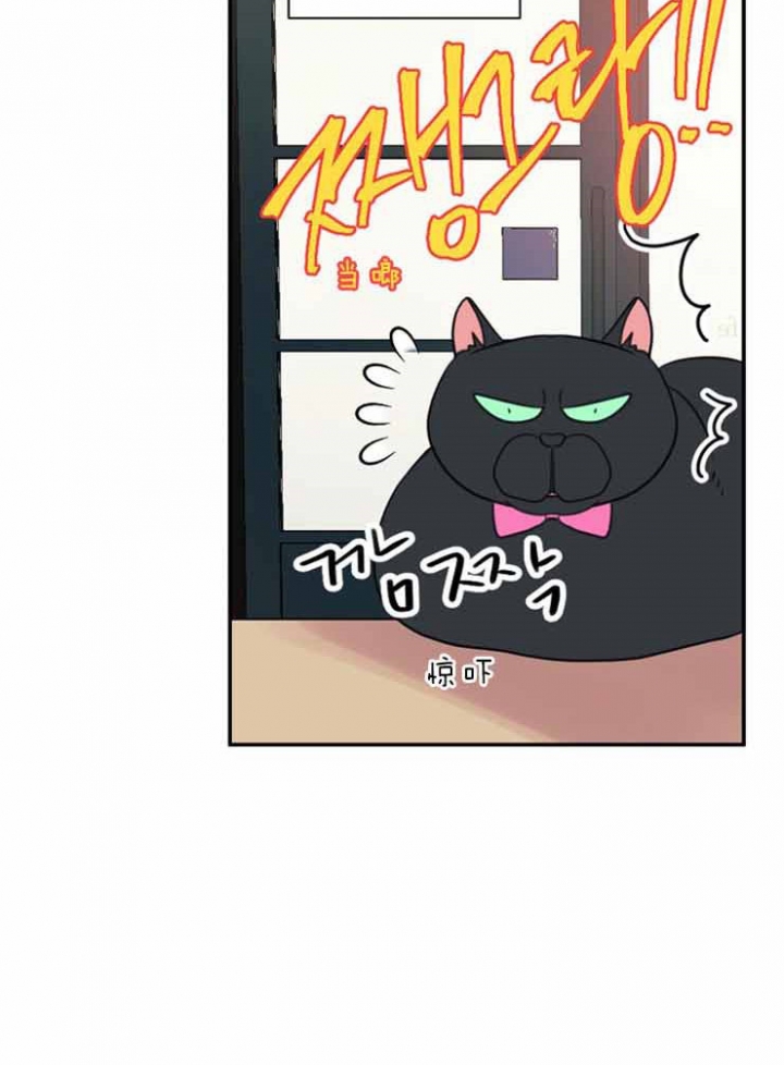 宠物圈养中 第29话 第21页