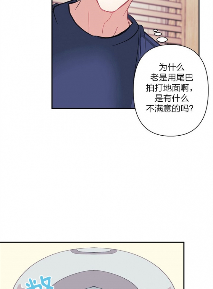 宠物圈养中 第24话 第29页