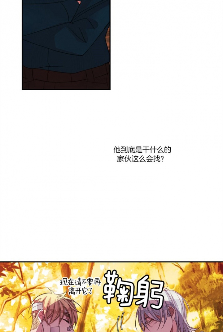 宠物圈养中 第18话 第4页