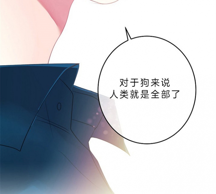 宠物圈养中 第16话 第12页