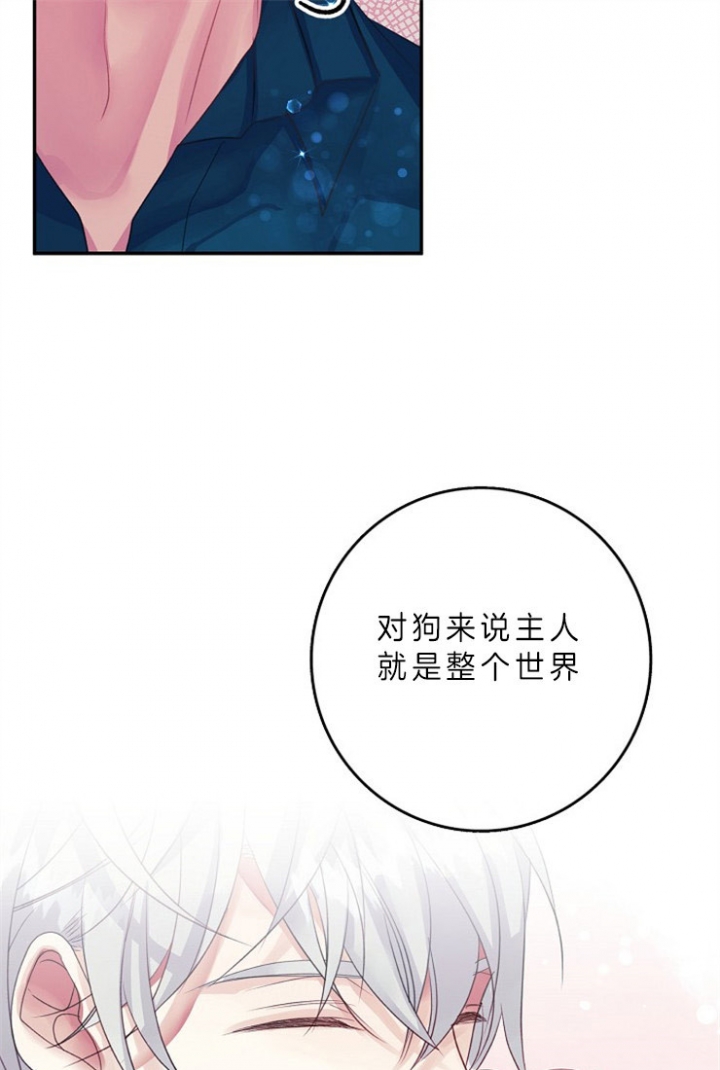 宠物圈养中 第16话 第4页