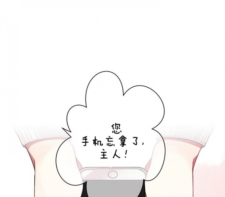 宠物圈养中 第13话 第12页