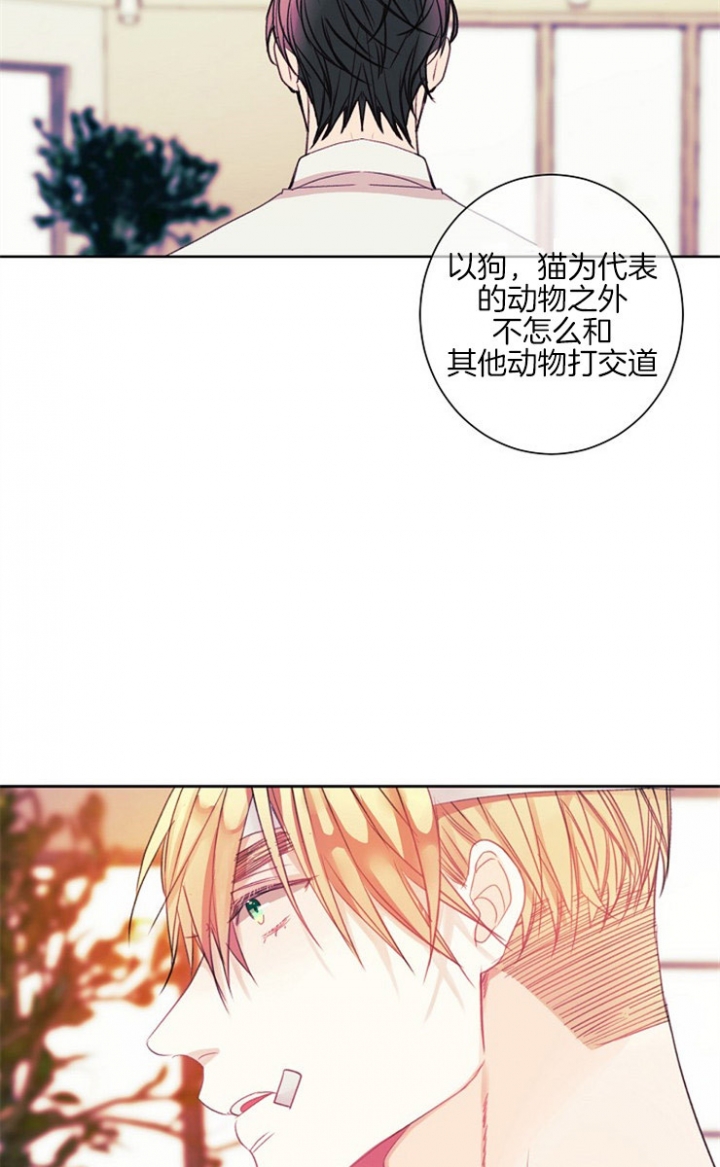 宠物圈养中 第9话 第16页