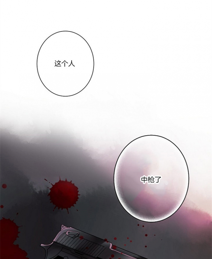 宠物圈养中 第6话 第1页