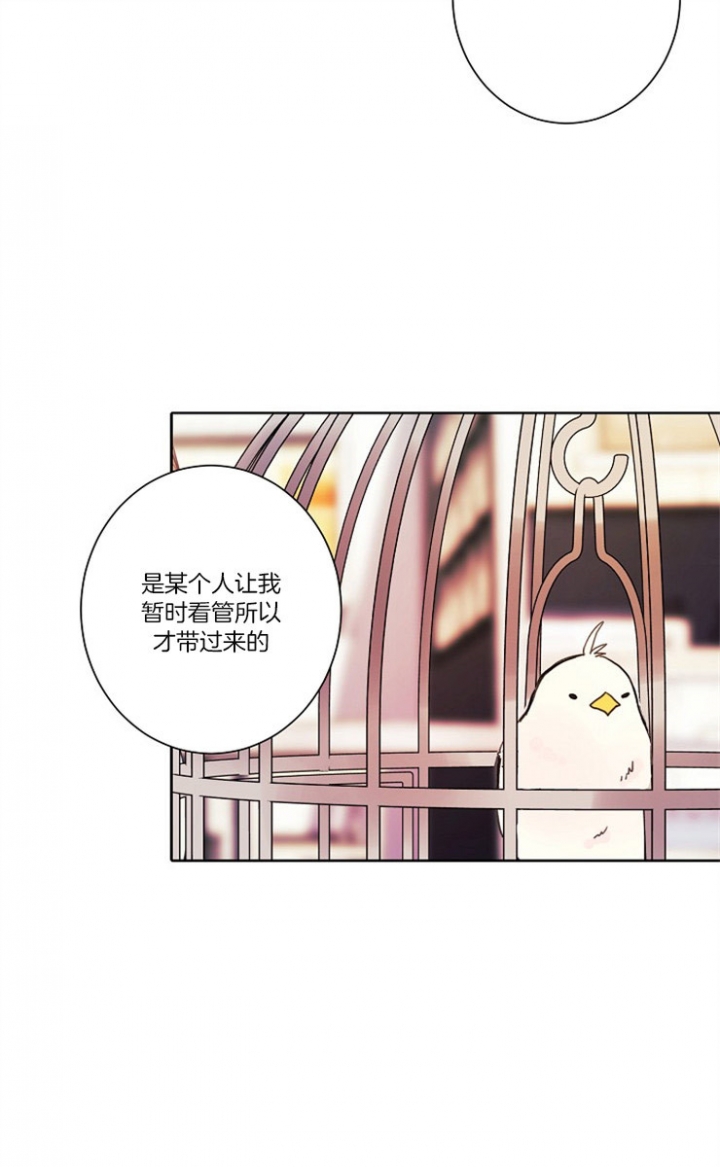 宠物圈养中 第6话 第19页
