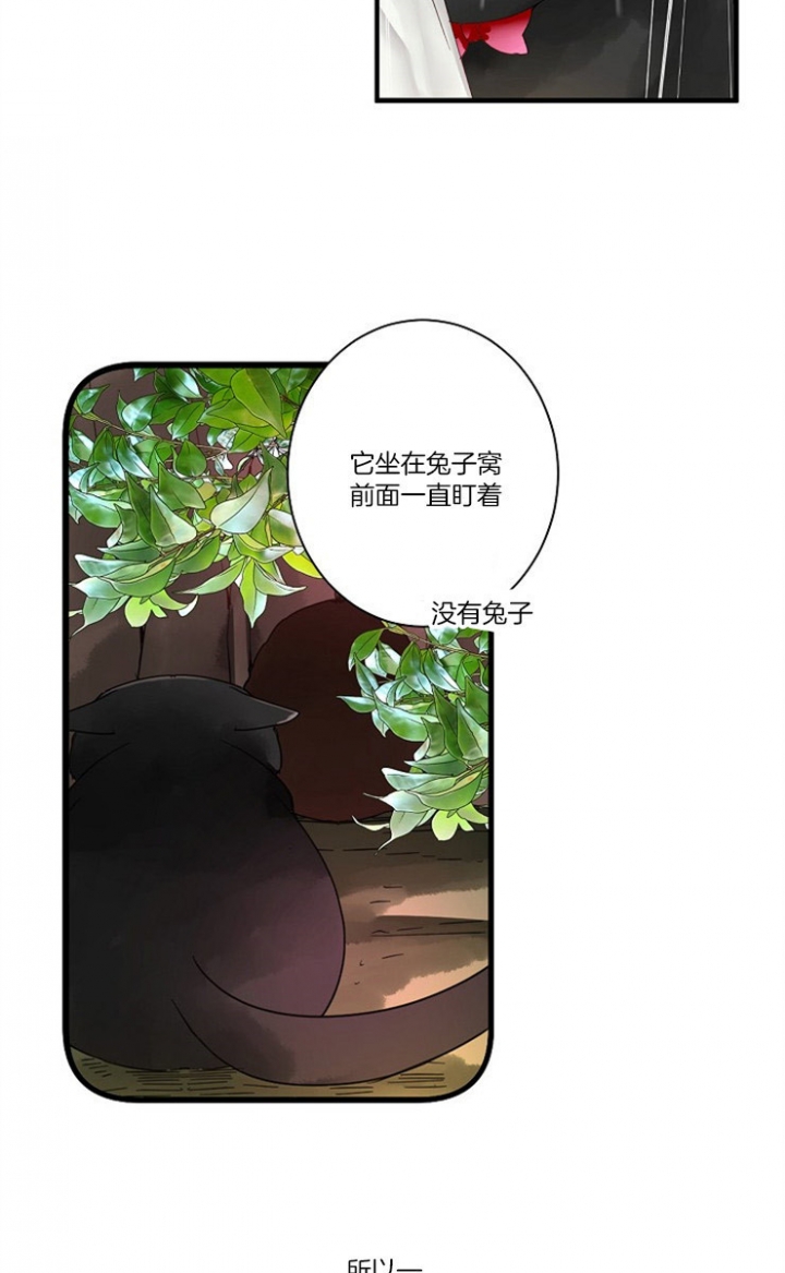 宠物圈养中 第4话 第2页