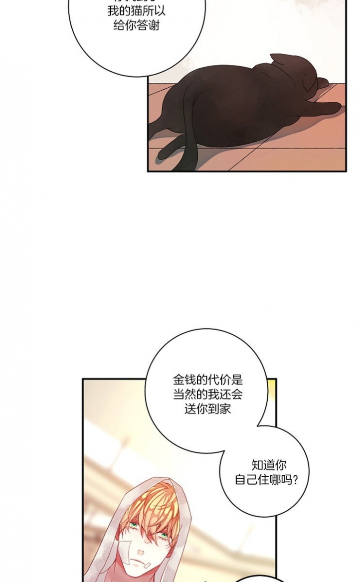 宠物圈养中 第4话 第13页