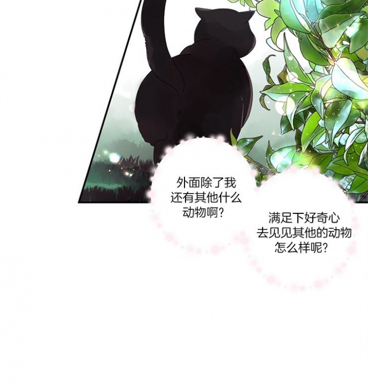 宠物圈养中 第4话 第7页