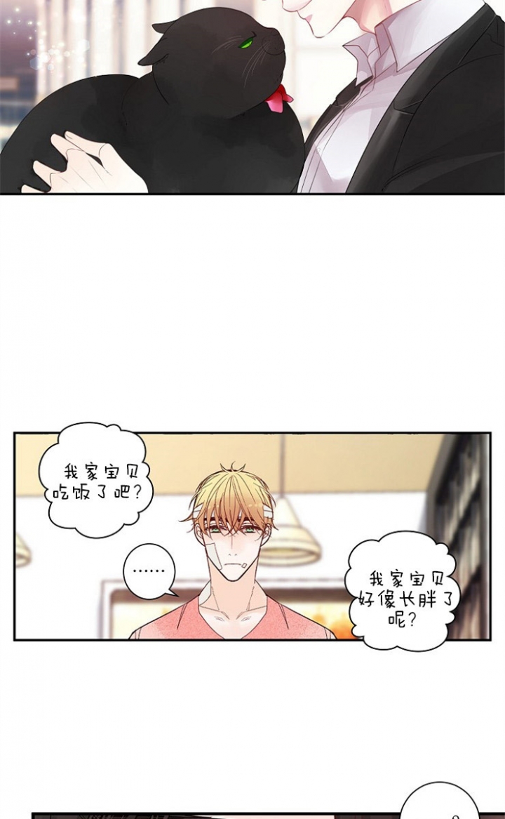宠物圈养中 第2话 第6页
