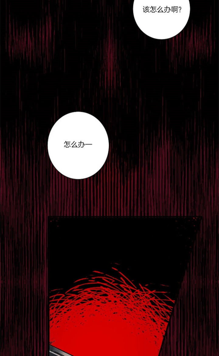 宠物圈养中 第1话 第10页