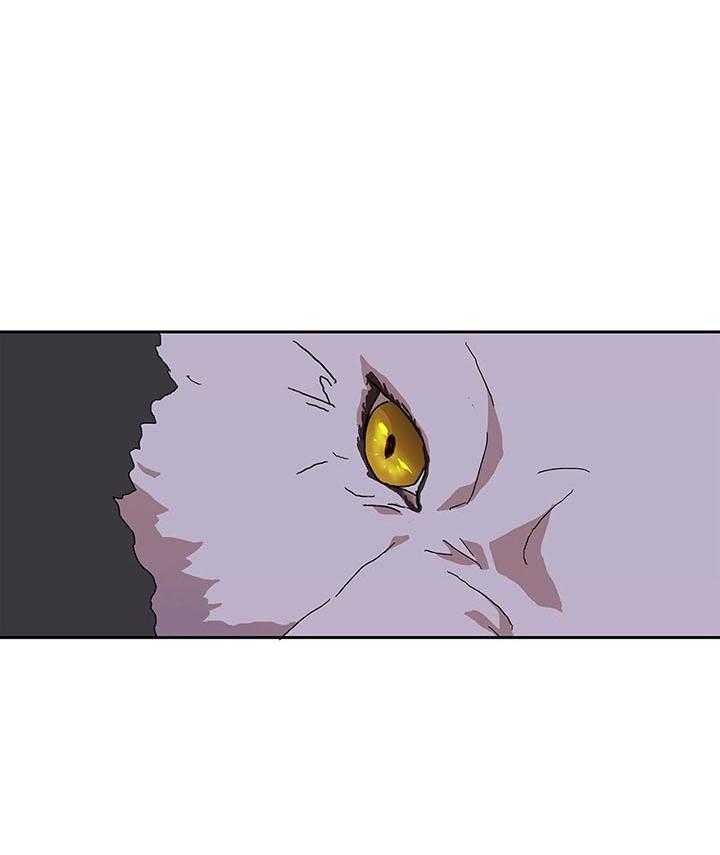 半月书生 第4话 吓晕了 第2页