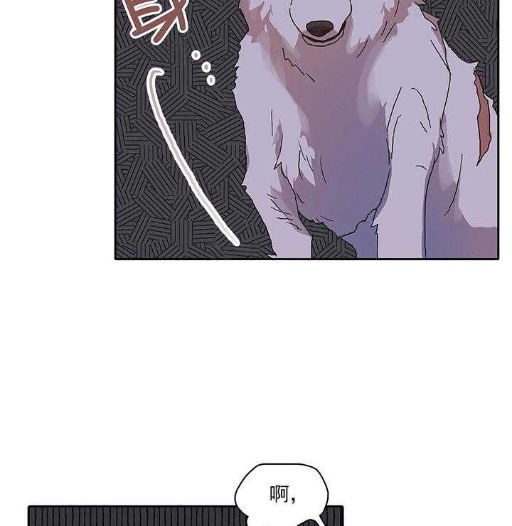 半月书生 第4话 吓晕了 第5页