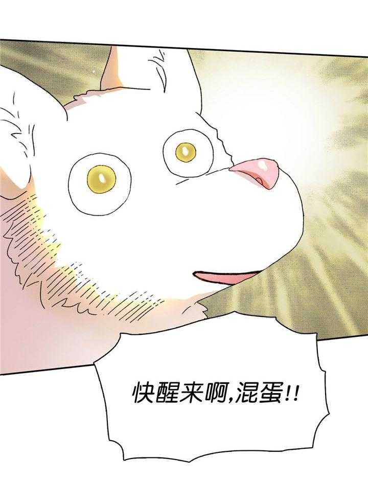 半月书生 第14话 混蛋快醒来 第42页