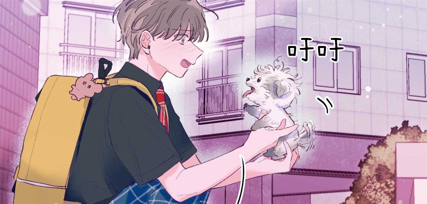 确认关系就XOXO 第22话 第一次叫了名字 第46页