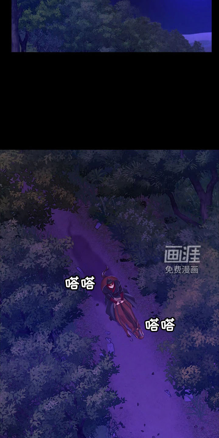 忠仆石头 第56章：打斗 第22页